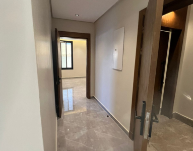 ديل 4 الزهرة 16